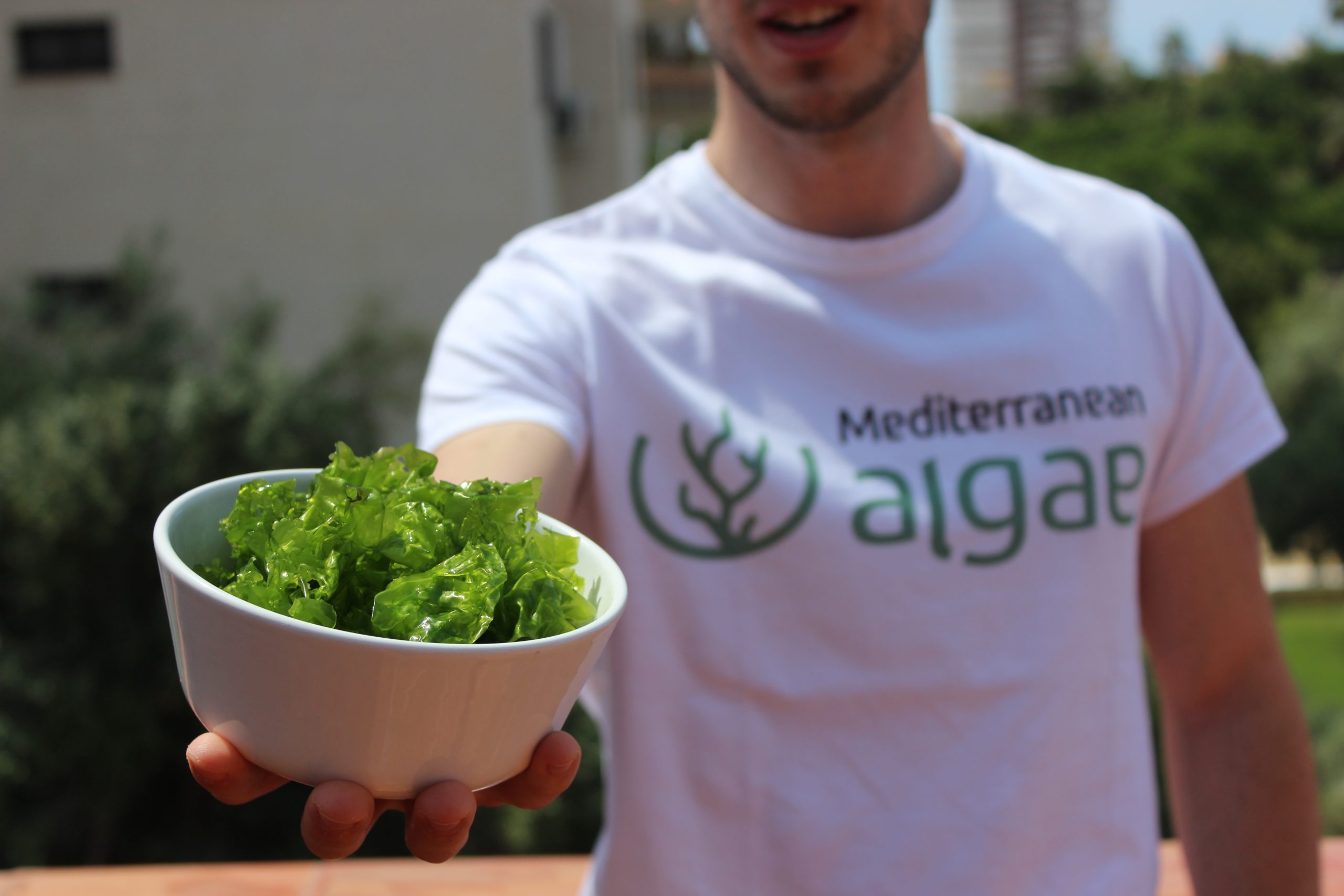 [VIDEO] Vincle Capital invierte en la start-up Mediterranean Algae y en su objetivo: convertirse en el productor líder en Europa de macroalgas mediterráneas